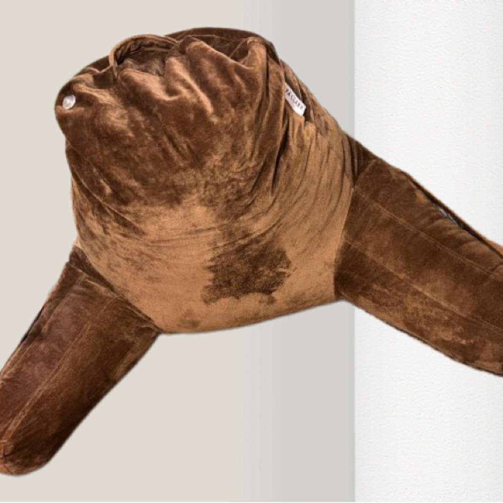 Back pillow with pockets